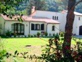 Holiday home rental