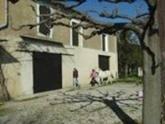 Camargue