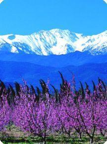 Pyrenees walking holidays Pyrenees walking holidays