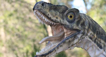 Meze dinosaur park