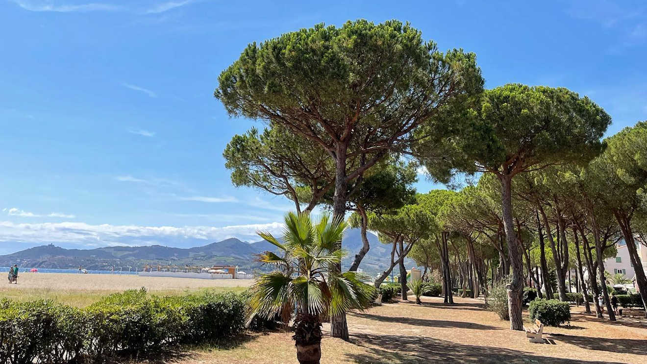 argeles plage des pins south france