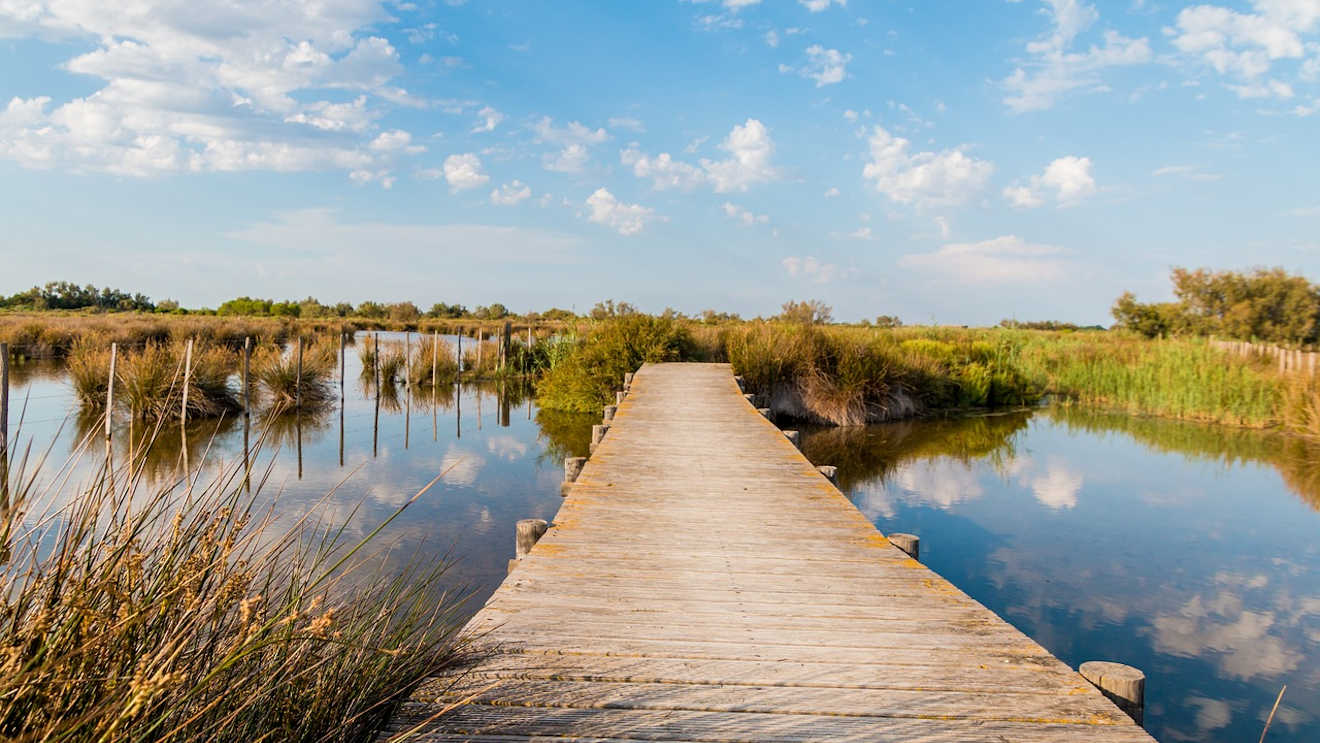 camargue south france