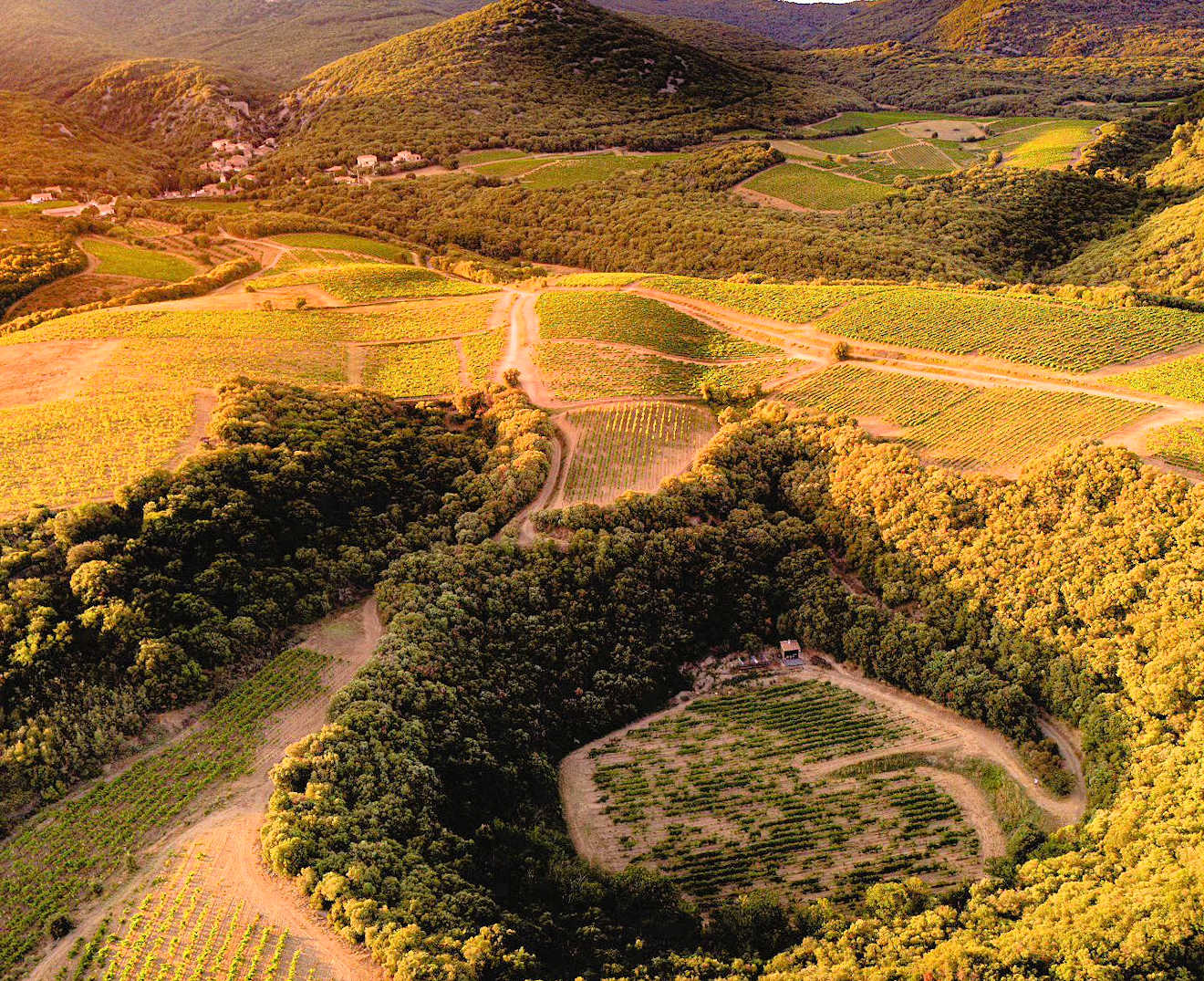 domaine meteor vineyard france