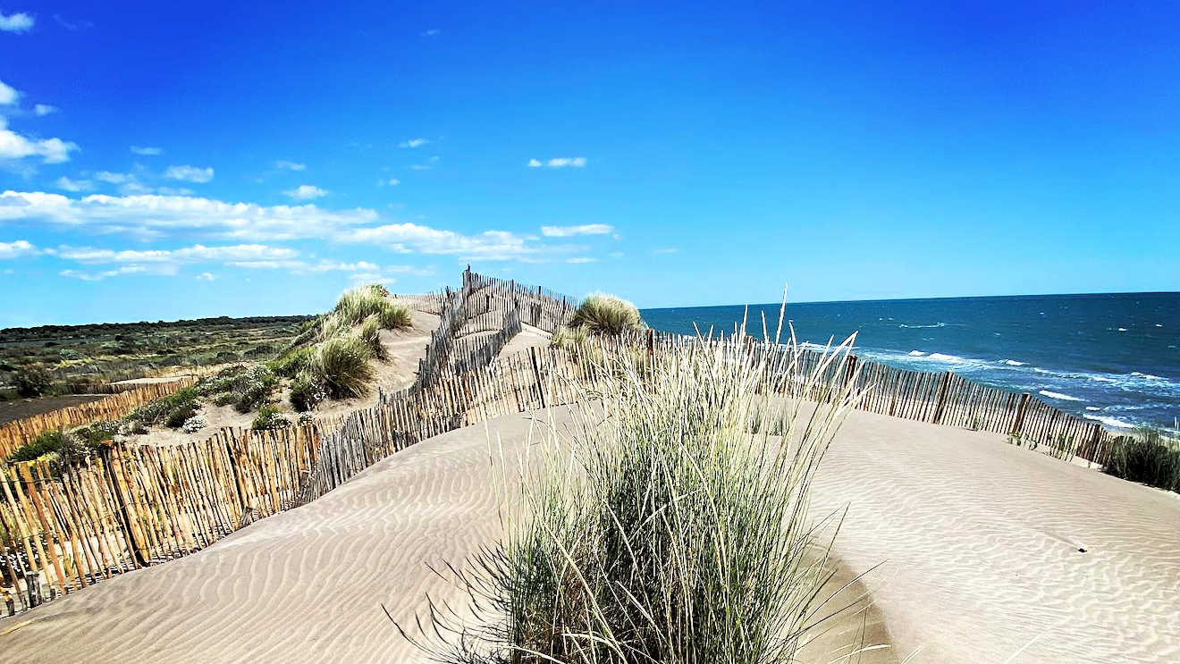 espiguette beach montpellier