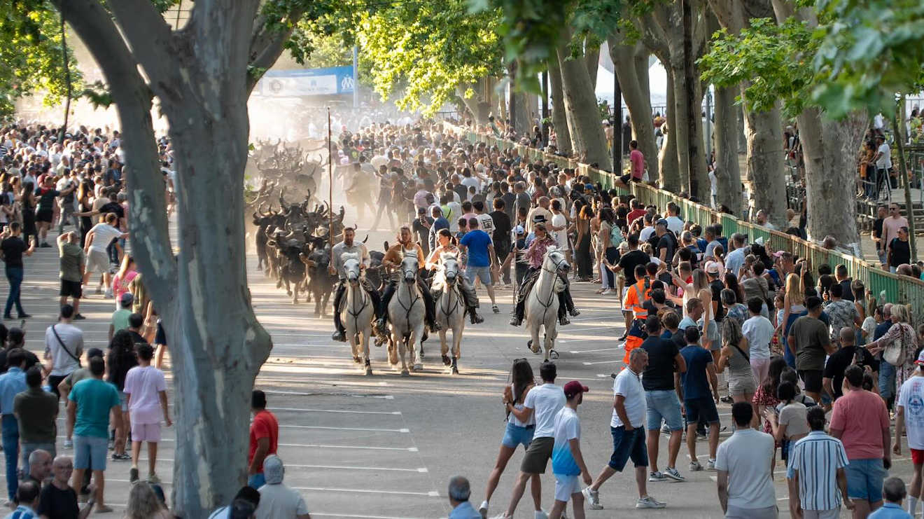 beaucaire fair france