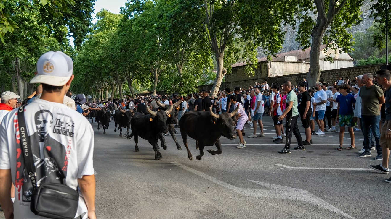 beaucaire fair south france