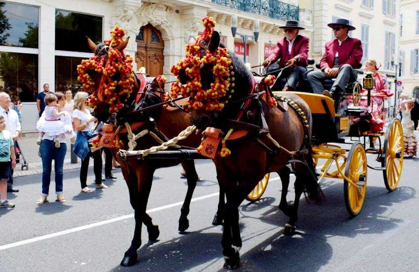 peach apricot festival france848