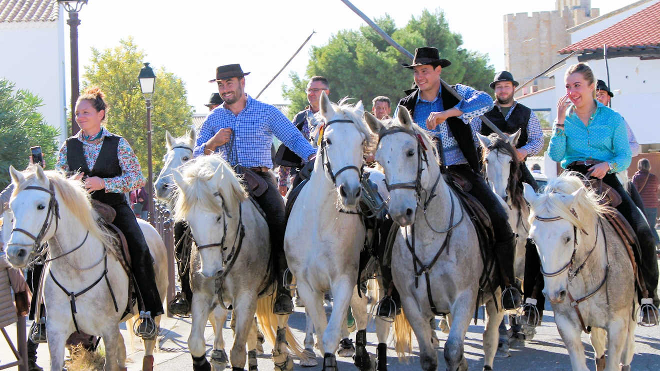 gypsy fair horses france