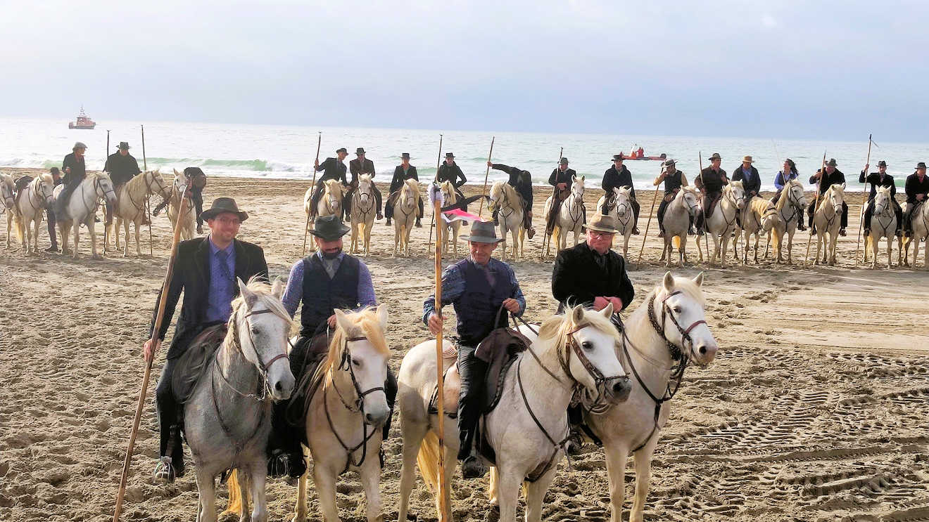 gypsy fair horses