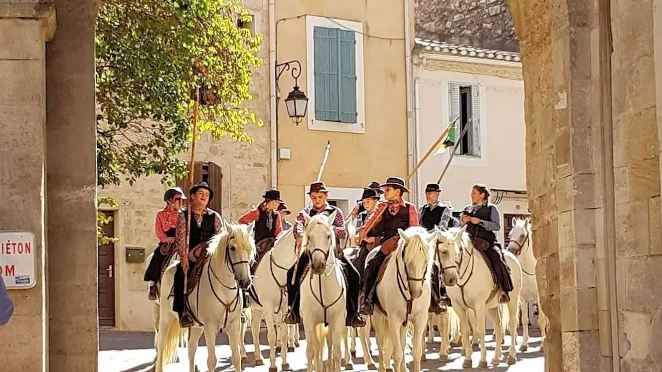 peach apricot festival camargue