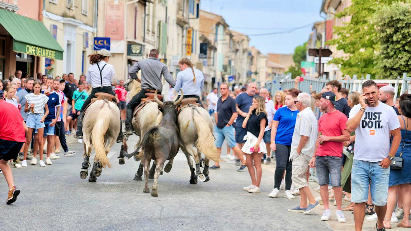 peach apricot festival south france