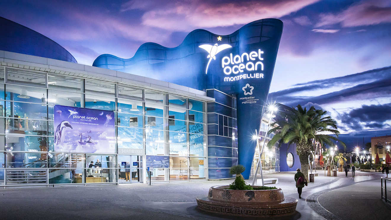 lion planet montpellier