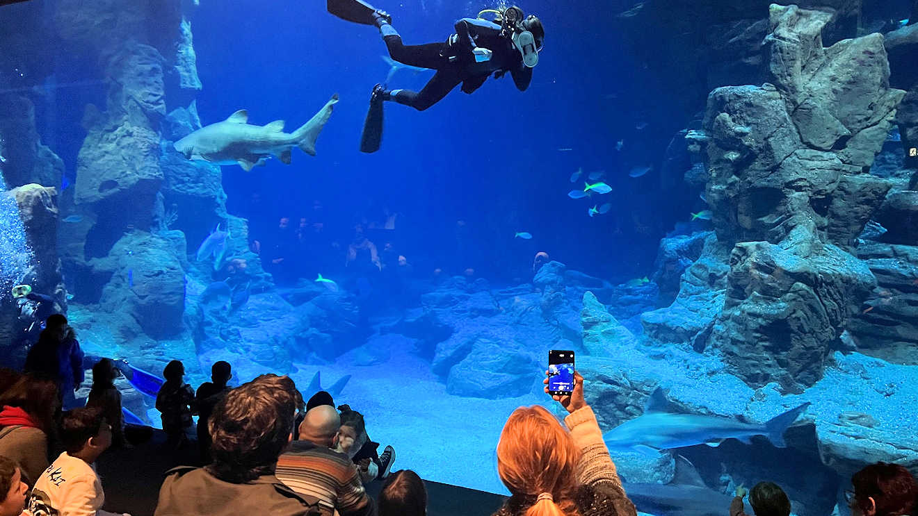 planet ocean montpellier