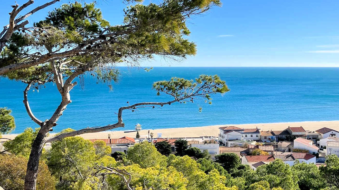 leucate plage south france