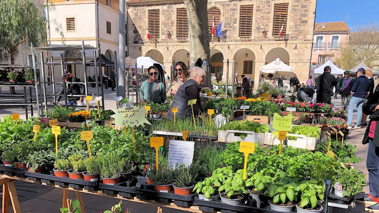 bessan market sunday