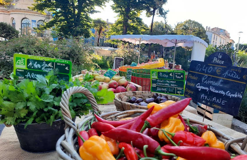 x pezenas bio market