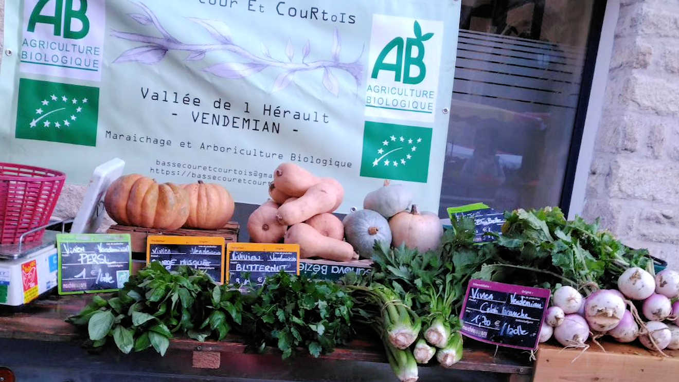 organic market herault