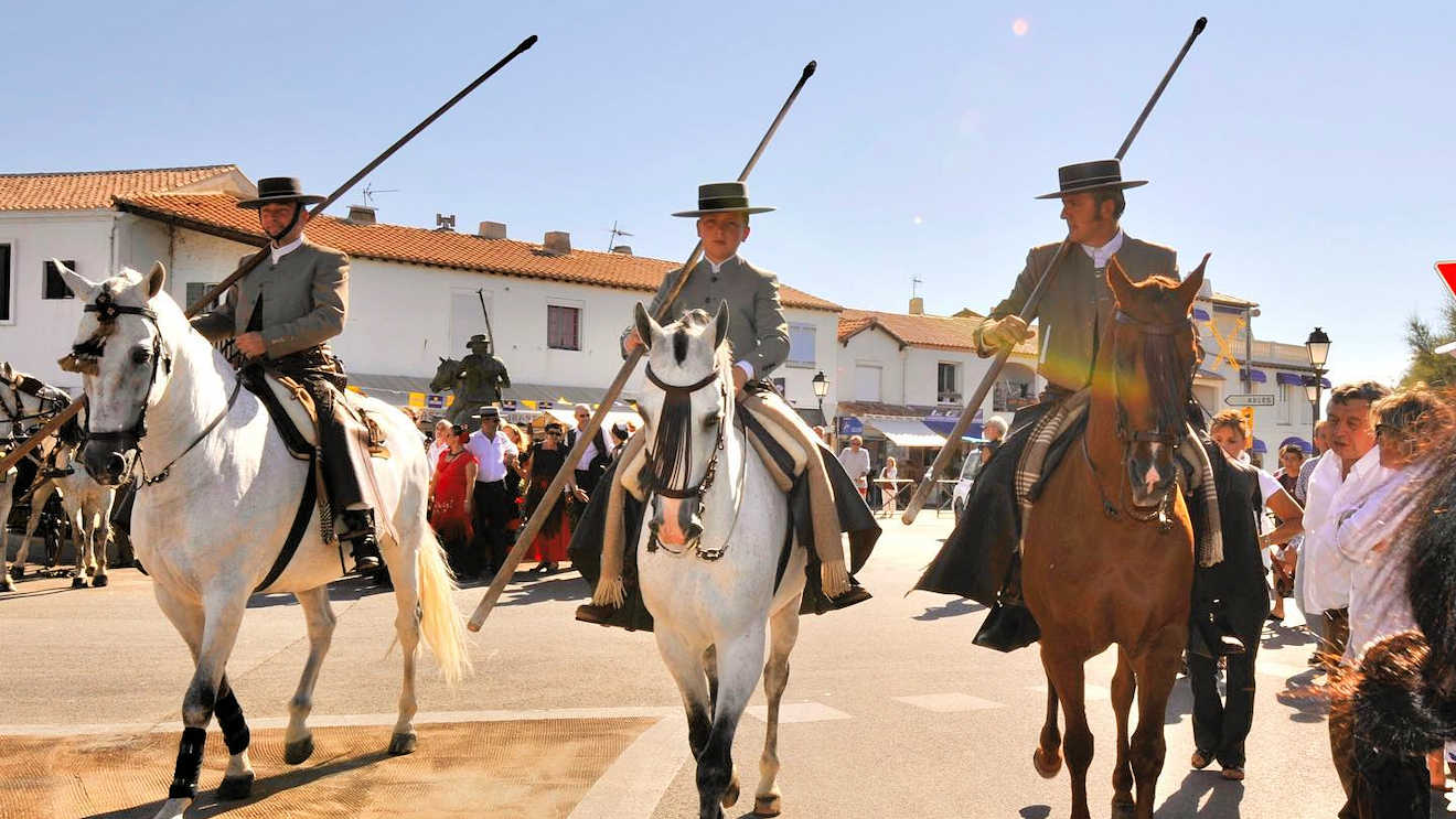 saintes maries de mer horses