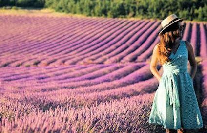Provence holidays