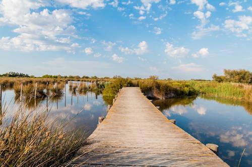 Best destinations South France