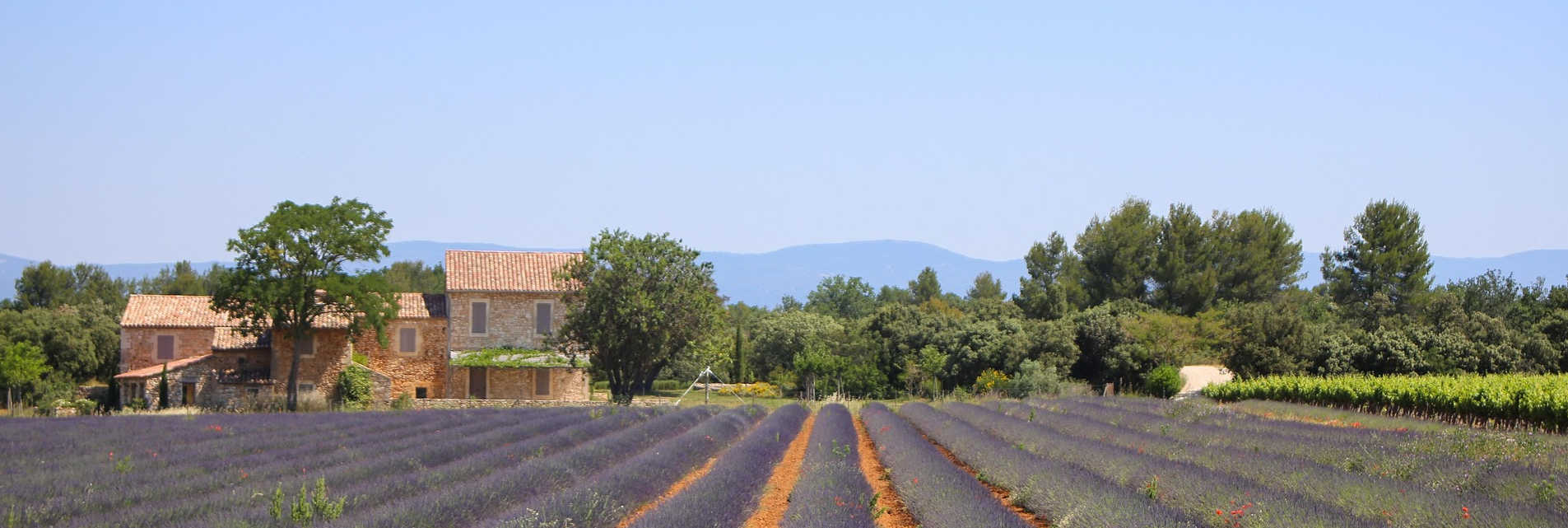 Holiday cottages in Beautiful Provence