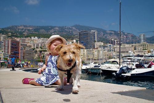 10 Dog Friendly Villas In South France With Private Pools