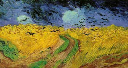 wheat field
