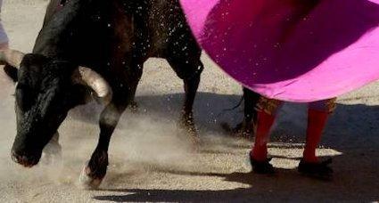 feria de peche