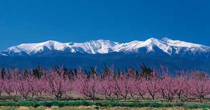 canigou