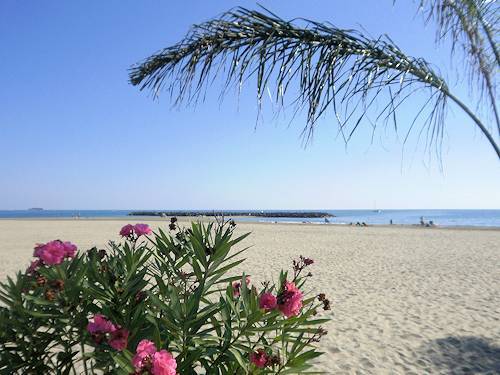 D camping naturist cap agde Welcome to