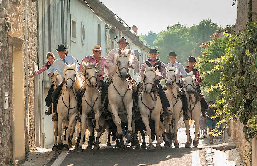 camargue1