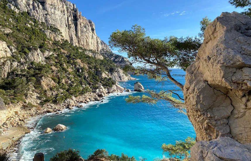 cassis